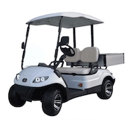 Véhicule électrique - Multicart Classic